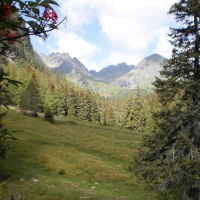Natur